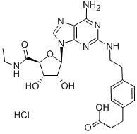 Molecular Structure of 124182-57-6 (CGS-21680 HYDROCHLORIDE)